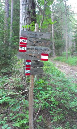 Название: IMAG2854.jpg
Просмотров: 3542
Размер: 34.5 Кб