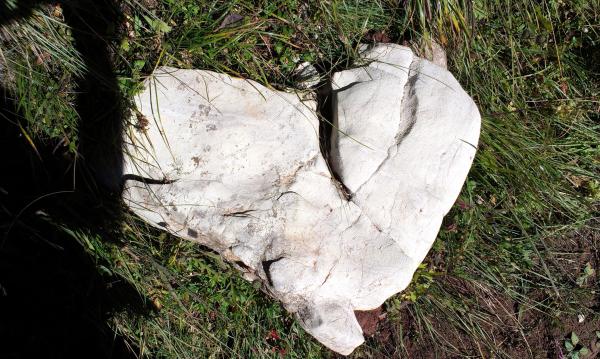 Название: IMAG5182.jpg
Просмотров: 3177
Размер: 62.5 Кб