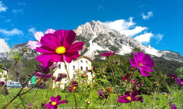 Название: IMAG5154.jpg
Просмотров: 3132
Размер: 54.3 Кб