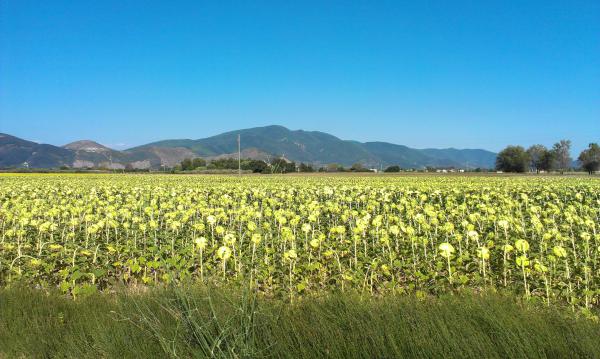 Название: IMAG2520.jpg
Просмотров: 2908
Размер: 48.2 Кб