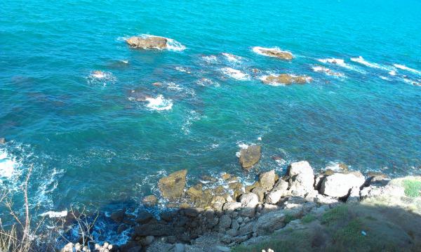 Название: IMAG4722.jpg
Просмотров: 3115
Размер: 48.9 Кб