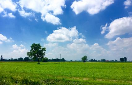 Название: image.jpg
Просмотров: 3062
Размер: 20.0 Кб