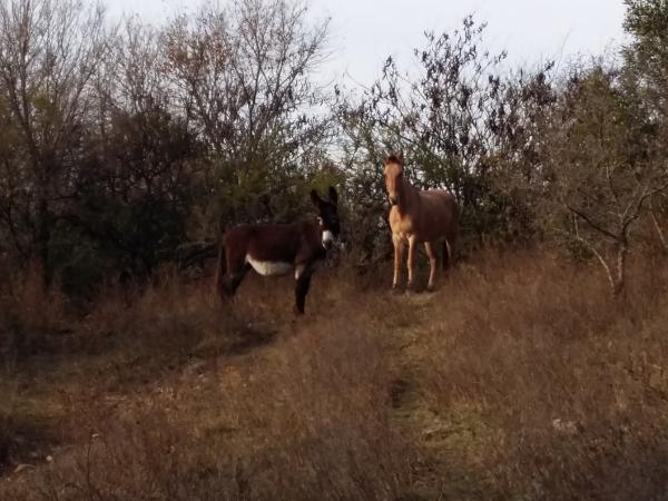 Название: 20160619_164725.jpg
Просмотров: 768
Размер: 49.0 Кб