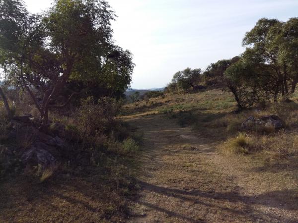 Название: 20160619_162422.jpg
Просмотров: 784
Размер: 50.3 Кб