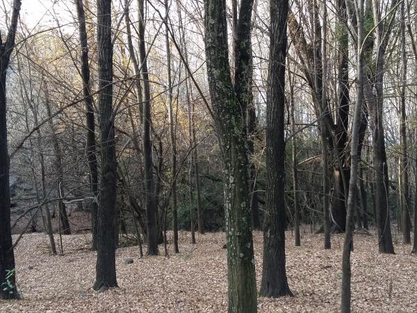 Название: 20160619_165831.jpg
Просмотров: 769
Размер: 88.7 Кб