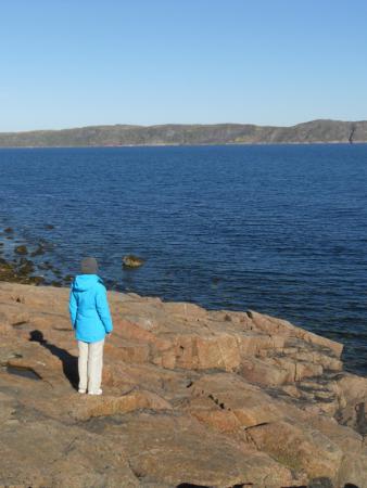 Название: Picture 077.jpg
Просмотров: 758
Размер: 22.6 Кб