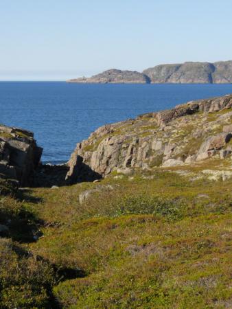 Название: Picture 090.jpg
Просмотров: 739
Размер: 28.2 Кб