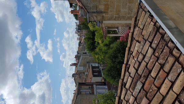 Название: 20160712_170652.jpg
Просмотров: 2395
Размер: 39.0 Кб