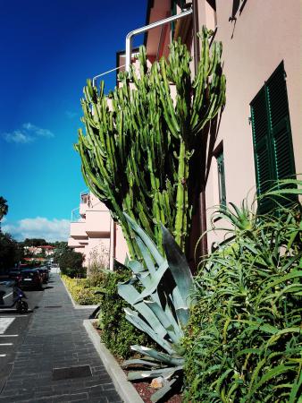 Название: IMG_20161027_133701.jpg
Просмотров: 894
Размер: 43.2 Кб