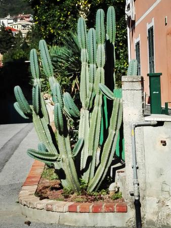 Название: IMG_20161027_133307.jpg
Просмотров: 918
Размер: 42.2 Кб