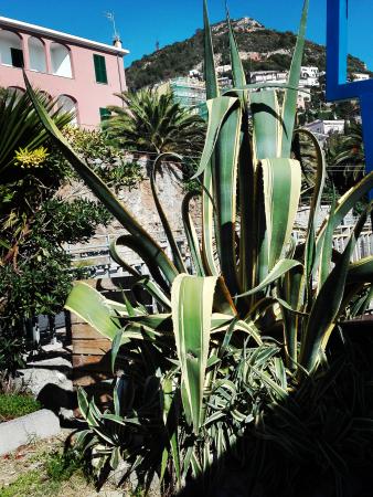 Название: IMG_20161027_132349.jpg
Просмотров: 1002
Размер: 48.8 Кб