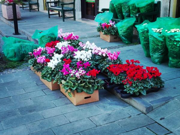 Название: IMG_20161027_133345.jpg
Просмотров: 907
Размер: 63.5 Кб