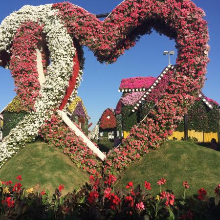 Название: Dubai Miracle Garden (4).jpg
Просмотров: 1116
Размер: 63.6 Кб