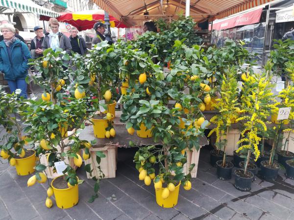 Название: IMG_20170222_164145.jpg
Просмотров: 605
Размер: 77.4 Кб