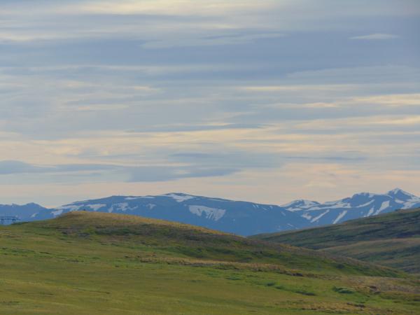 Название: ira pictures 108.jpg
Просмотров: 751
Размер: 23.4 Кб