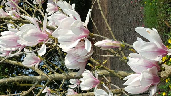 Название: 20170326_183214.jpg
Просмотров: 2170
Размер: 54.1 Кб