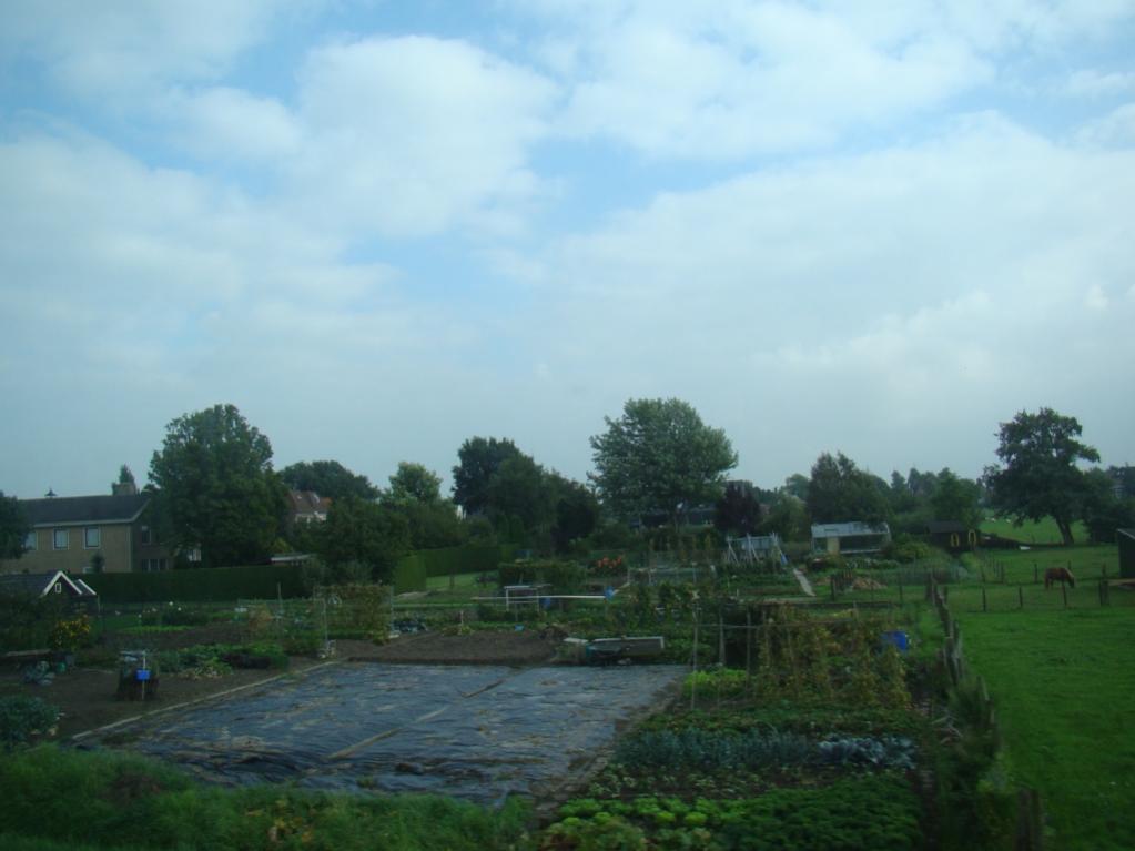 Название: DSC02130.jpg
Просмотров: 4478
Размер: 61.9 Кб