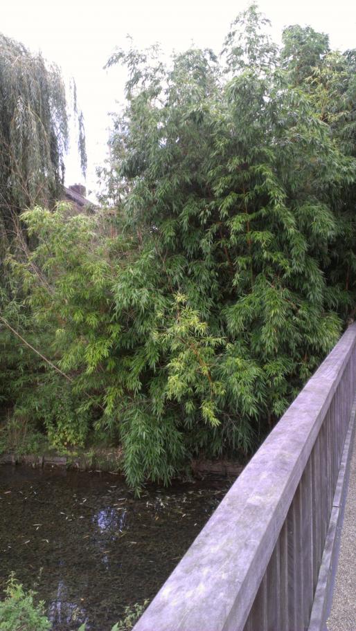 Название: IMAG0393.jpg
Просмотров: 5313
Размер: 101.2 Кб