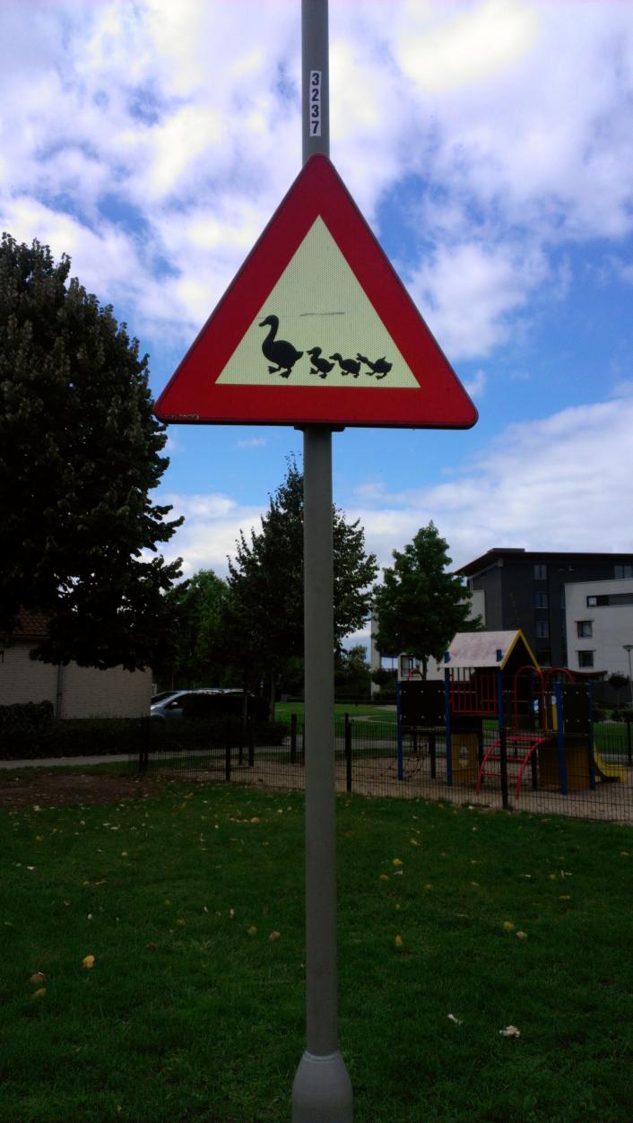 Название: IMAG0394.jpg
Просмотров: 4553
Размер: 94.9 Кб