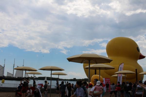 Название: IMG_2725.jpg
Просмотров: 872
Размер: 25.6 Кб