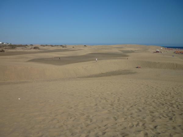 Название: P1250326.jpg
Просмотров: 1023
Размер: 21.1 Кб