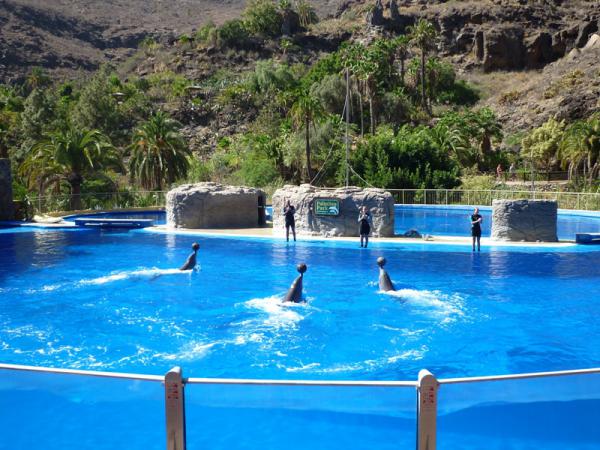 Название: P1250523.jpg
Просмотров: 1022
Размер: 61.7 Кб