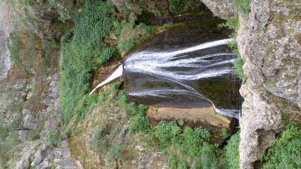 Название: DSC_0458.jpg
Просмотров: 947
Размер: 60.3 Кб