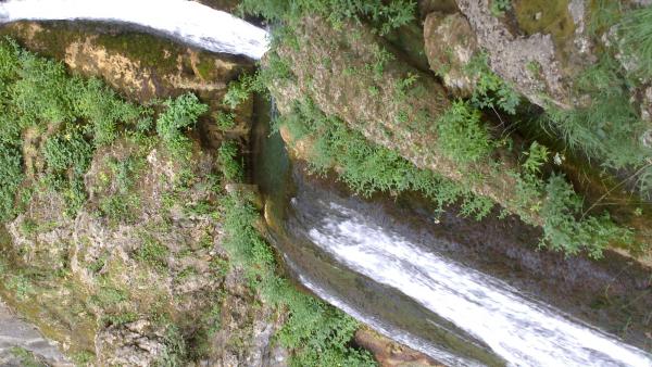 Название: DSC_0460.jpg
Просмотров: 960
Размер: 56.5 Кб