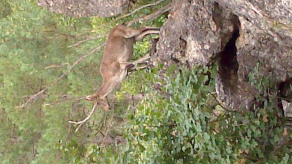 Название: DSC_0443.jpg
Просмотров: 937
Размер: 42.2 Кб