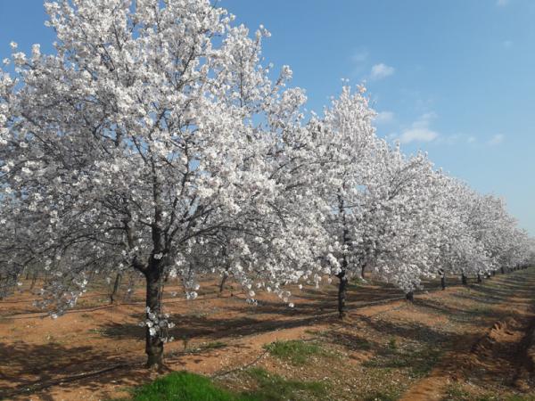 Название: 20180218_121349.jpg
Просмотров: 711
Размер: 63.9 Кб