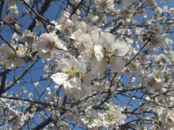 Название: 20180218_121431.jpg
Просмотров: 715
Размер: 50.1 Кб