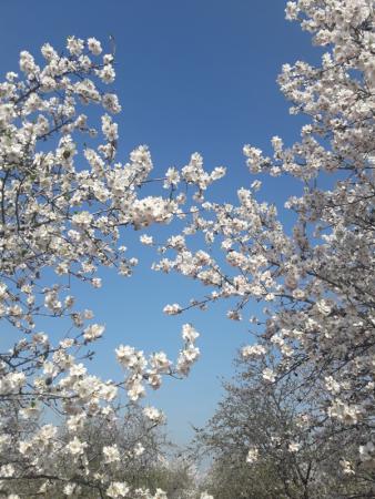 Название: 20180218_121520.jpg
Просмотров: 747
Размер: 39.7 Кб