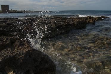 Название: 0C6200D3-8DAF-496B-86C1-7C58B7D2B49A.jpg
Просмотров: 1010
Размер: 19.9 Кб