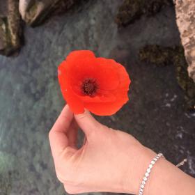 Название: AEAD1054-2031-4FA3-9420-2633239FCE8D.jpg
Просмотров: 1009
Размер: 11.3 Кб