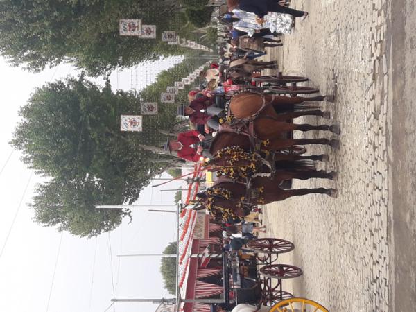 Название: 20180421_140528.jpg
Просмотров: 766
Размер: 57.3 Кб