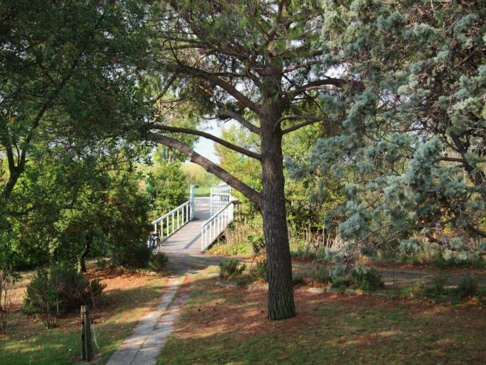 Название: our_place1.jpg
Просмотров: 5343
Размер: 100.6 Кб