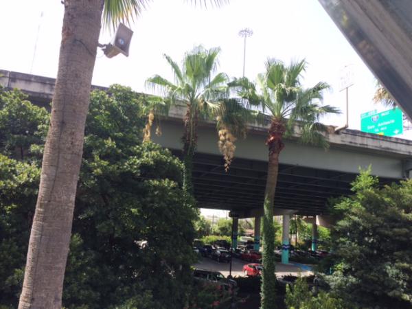 Название: IMG_9923.jpg
Просмотров: 2318
Размер: 44.0 Кб