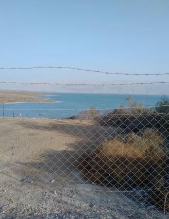 Название: UNADJUSTEDNONRAW_thumb_1cfd.jpg
Просмотров: 959
Размер: 23.5 Кб