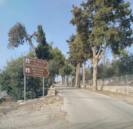 Название: UNADJUSTEDNONRAW_thumb_1d13.jpg
Просмотров: 962
Размер: 41.6 Кб