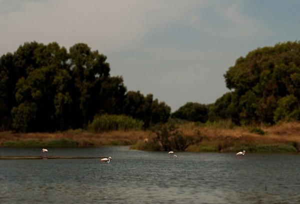 Название: DSC_8282_2.jpg
Просмотров: 887
Размер: 25.6 Кб