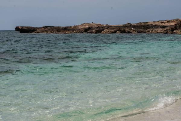 Название: DSC_8290_2.jpg
Просмотров: 917
Размер: 34.9 Кб