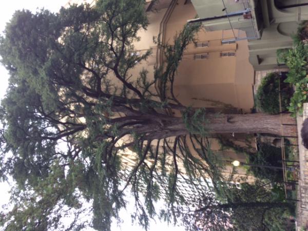 Название: IMG_0357.jpg
Просмотров: 1160
Размер: 55.3 Кб