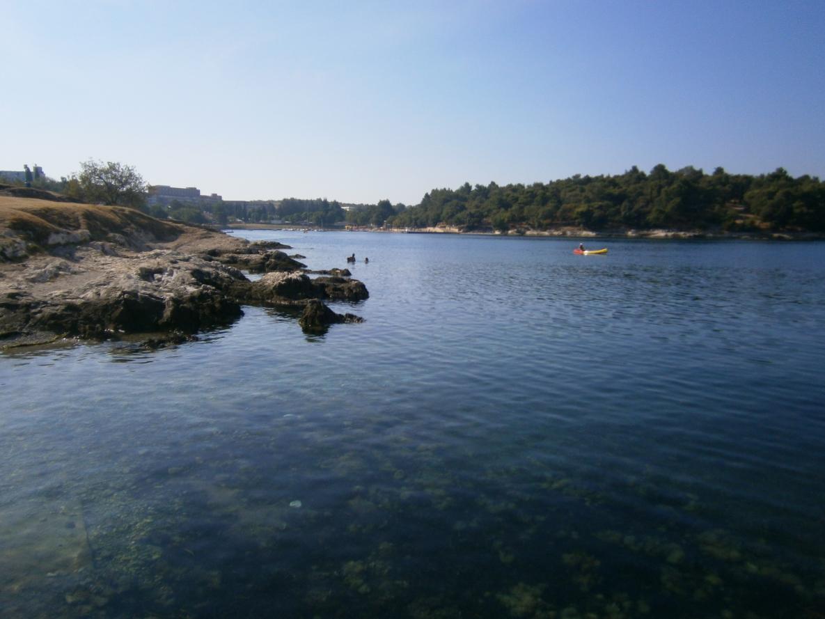 Название: P8210626.jpg
Просмотров: 4064
Размер: 87.4 Кб