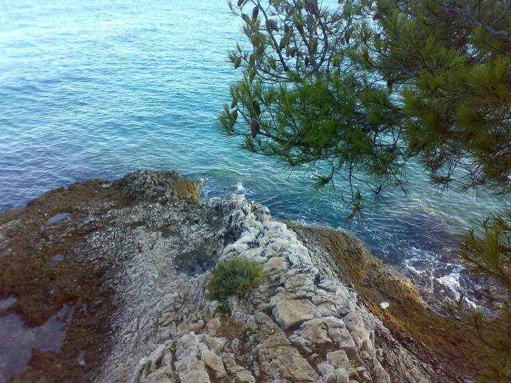 Название: 250820122580.jpg
Просмотров: 3823
Размер: 99.2 Кб