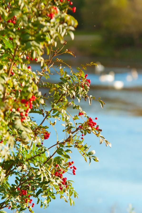 Название: DSC_0128.jpg
Просмотров: 1615
Размер: 99.4 Кб