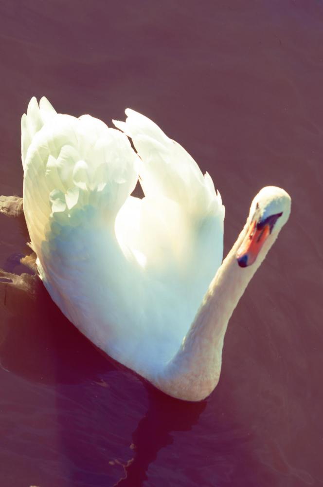 Название: DSC_0249.jpg
Просмотров: 1313
Размер: 35.4 Кб