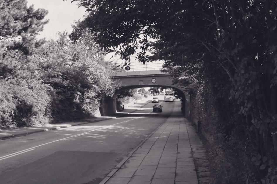 Название: DSC_0544.jpg
Просмотров: 1763
Размер: 99.4 Кб