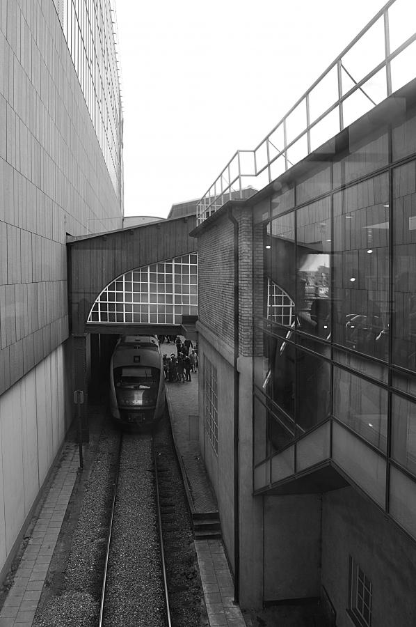 Название: DSC_0600.jpg
Просмотров: 1445
Размер: 80.2 Кб