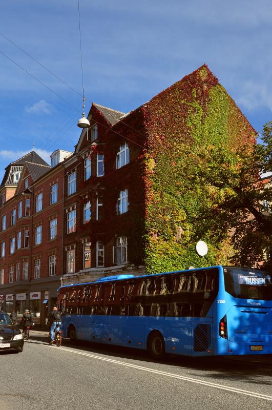 Название: DSC_0537.jpg
Просмотров: 1583
Размер: 90.5 Кб