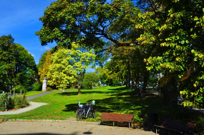 Название: DSC_0541.jpg
Просмотров: 1841
Размер: 99.6 Кб